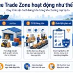 Free Trade Zone là gì? Quy chế hoạt động và lợi ích trong xuất nhập khẩu